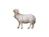 Schaf Nr. 134, 10cm € 12,--