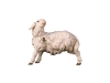 Schaf Nr. 136, 10cm € 12,--