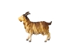 Ziege Nr. 139, 10cm € 12,--