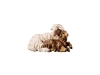 Schafgruppe Nr. 145, 10cm € 16,--