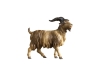 Ziegenbock Nr. 146, 10cm € 12,--