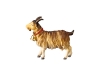 Ziegenbock Nr. 151, 10cm € 12,--