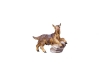 Kitz Nr. 165, 10cm € 10,--