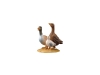 Entengruppe Nr. 249, 10cm € 14,--
