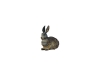 Hase Nr. 271, 10cm € 10,--