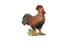 Hahn WF/ Nr. 795121 9 cm - € 9,00