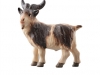 Ziegenbock WF/ Nr. 795210 9 cm - € 13,60