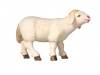 Schaf stehend vorwärtsschauend WF/ Nr. 795260 9 cm - € 12,60