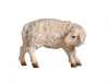 Schaf stehend rechtsschauend C/ Nr. 790044 11cm - € 16,70