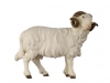 Widder rechtsschauend C/ Nr. 790120 11cm - € 19,80