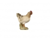 Henne stehend C/ Nr. 790122 11cm - € 10,00