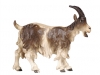 Ziege Kopf hoch C/ Nr. 790192 11cm - € 17,40