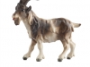 Ziegenbock C/ Nr. 790210 11cm - € 19,80