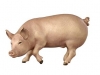 Schwein